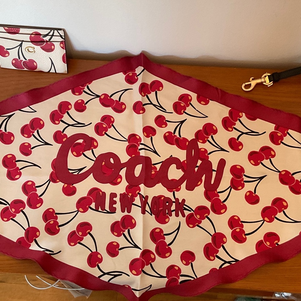 Coach Diamond Cherry Silk Scarf